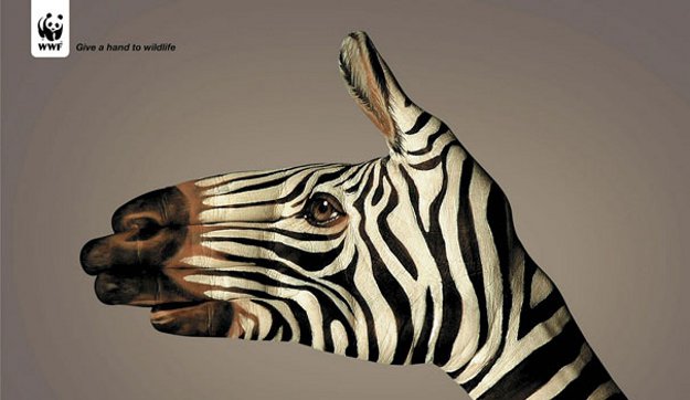 Best Marketing Strategies - A hand painted to look like a zebra