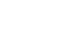 The Pumpkin Plan