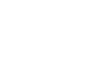 Surge