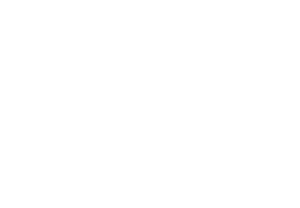 The Toilet Paper Entrepreneur